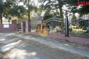 hammerman-krzysztof-rubaszewski-ploty-w-luku-123