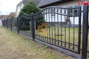 hammerman-krzysztof-rubaszewski-ploty-w-luku-143