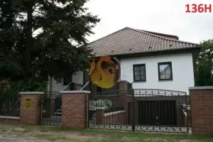 hammerman-krzysztof-rubaszewski-ploty-w-luku-145