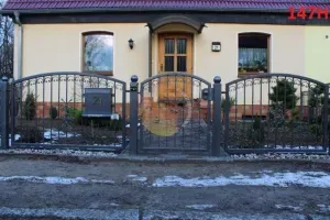 hammerman-krzysztof-rubaszewski-ploty-w-luku-195