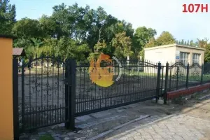 hammerman-krzysztof-rubaszewski-ploty-w-luku-29