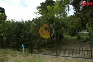 hammerman-krzysztof-rubaszewski-ploty-w-luku-60