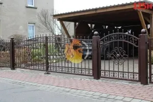 hammerman-krzysztof-rubaszewski-ploty-w-luku-92