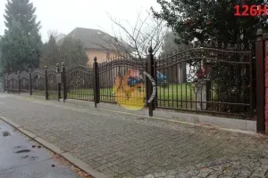 hammerman-krzysztof-rubaszewski-ploty-w-luku-98