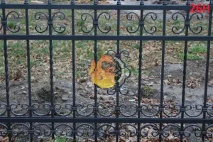 hammerman-krzysztof-rubaszewski-ploty-zaune-113