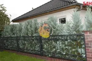 hammerman-krzysztof-rubaszewski-ploty-zaune-230